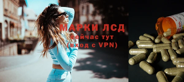 PSILOCYBIN Козловка