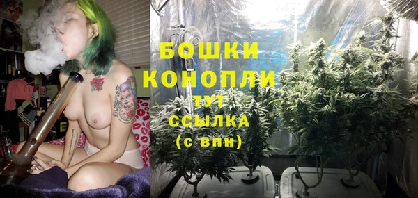 PSILOCYBIN Козловка