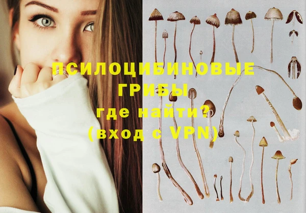 PSILOCYBIN Козловка