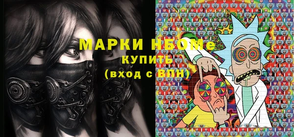 PSILOCYBIN Козловка