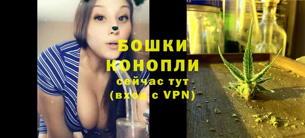 PSILOCYBIN Козловка