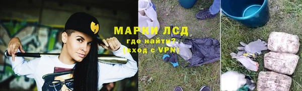 PSILOCYBIN Козловка