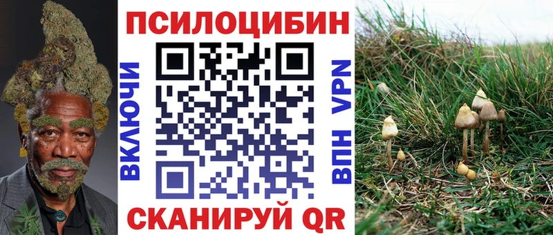 Галлюциногенные грибы Psilocybe  Купить где  Суоярви 